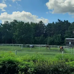 Sletiště Kladno - Kladno