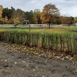 Sletiště Kladno - Kladno