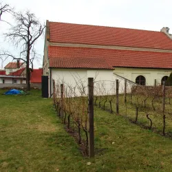Kolín Synagogue - Kolin