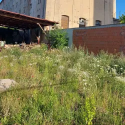 Kralupy nad Vltavou Town Park - Kralupy nad Vltavou