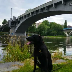 Kralupy nad Vltavou Town Park - Kralupy nad Vltavou