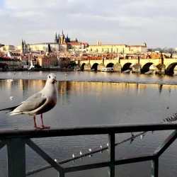Vltava River Embankment - Kralupy nad Vltavou