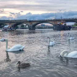 Vltava River Embankment - Kralupy nad Vltavou