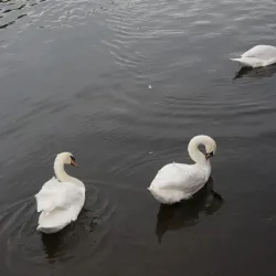Vltava River Embankment - Kralupy nad Vltavou