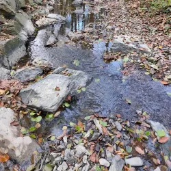 Kunratice Castle - Kunratice
