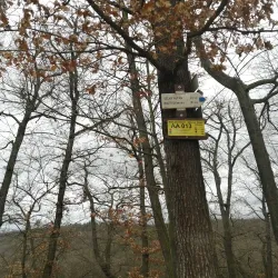 Kunratice Castle - Kunratice