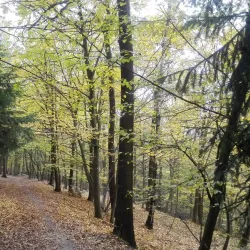 Kunratice Castle - Kunratice