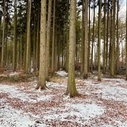 Kunratice Community Garden - Kunratice