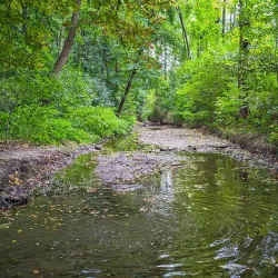 Kunratice Community Garden - Kunratice