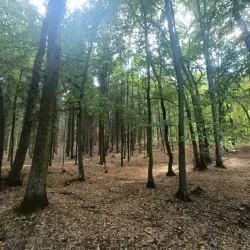Kunratice Community Garden - Kunratice