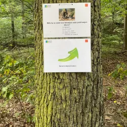 Kunratice Community Garden - Kunratice