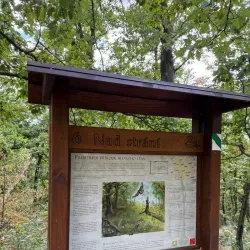 Kunratice Community Garden - Kunratice