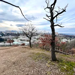 Kunratice Community Garden - Kunratice
