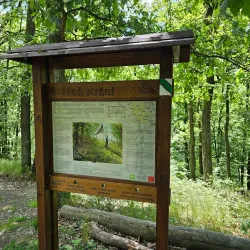 Kunratice Community Garden - Kunratice