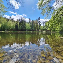 Kunratice Forest - Kunratice