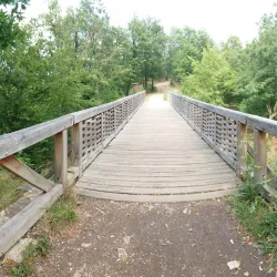 Kunratice Forest - Kunratice