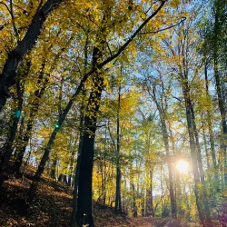 Kunratice Forest - Kunratice
