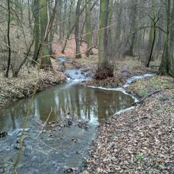 Kunratice Park - Kunratice