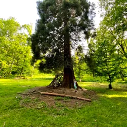 Kunratice Park - Kunratice