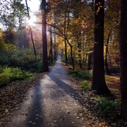 Kunratice Park - Kunratice