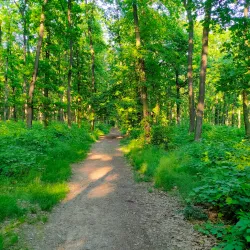 Nature Trails and Cycling Routes - Kunratice