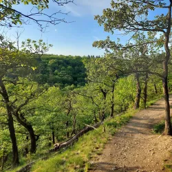 Nature Trails and Cycling Routes - Kunratice