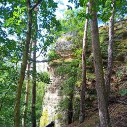 Castle Ruins of Kyjov - Kyjov