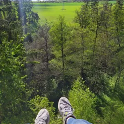 Castle Ruins of Kyjov - Kyjov