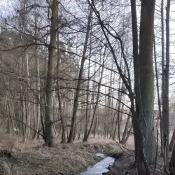 Castle Ruins of Kyjov - Kyjov