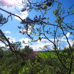 Castle Ruins of Kyjov - Kyjov