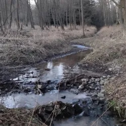 Castle Ruins of Kyjov - Kyjov