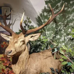 Kyjov Ethnographic Museum - Kyjov