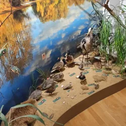 Kyjov Ethnographic Museum - Kyjov