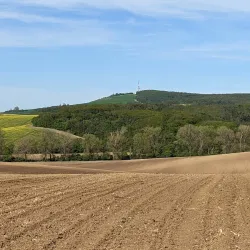 Kyjov Town Hall - Kyjov