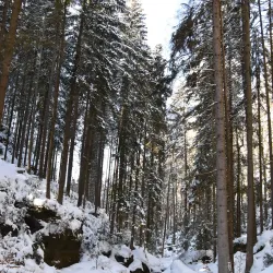 Kyjov Vineyard Trails - Kyjov