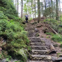 Kyjov Vineyard Trails - Kyjov