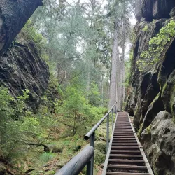 Kyjov Vineyard Trails - Kyjov