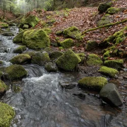 Kyjov Vineyard Trails - Kyjov