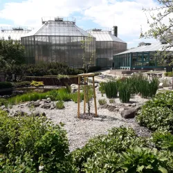Botanical Garden Liberec - Liberec