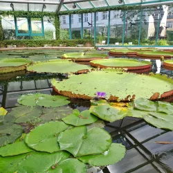 Botanical Garden Liberec - Liberec