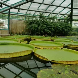 Botanical Garden Liberec - Liberec