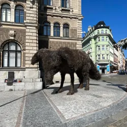 Liberec Town Hall - Liberec