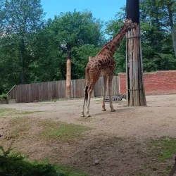 Liberec Zoo - Liberec