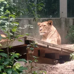 Liberec Zoo - Liberec
