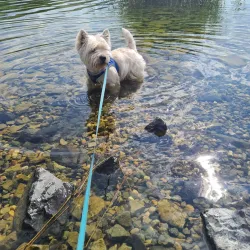 Jezero Milada (Milada Lake) - Litvinov (Litvínov)