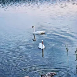 Jezero Milada (Milada Lake) - Litvinov (Litvínov)