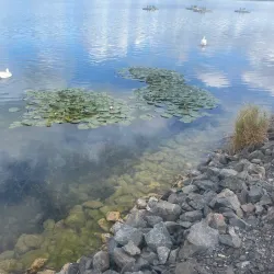 Jezero Milada (Milada Lake) - Litvinov (Litvínov)