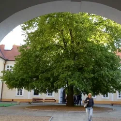 Litvinov Castle - Litvinov (Litvínov)