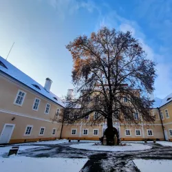 Litvinov Mining Museum - Litvinov (Litvínov)