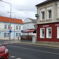 Local Brewery and Pub - Litvinov (Litvínov)